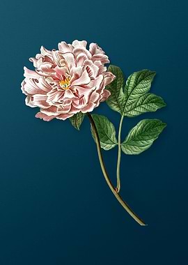 Vintage Florals on Teal