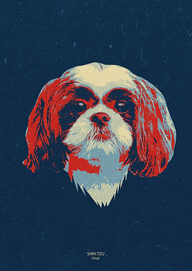 Shih Tzu