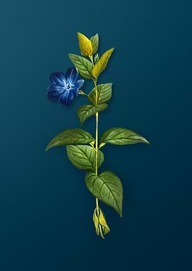 Vintage Flowers on Teal