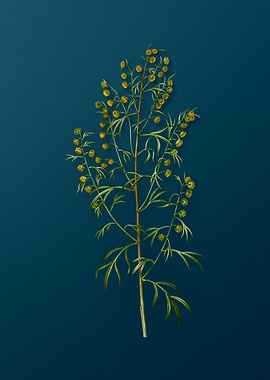 Vintage Floral Drawing