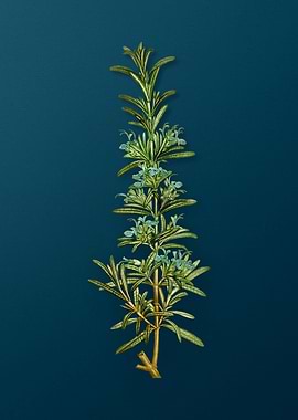 Vintage Botanicals on Teal