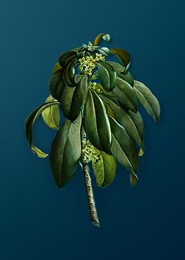 Vintage Flowers on Teal