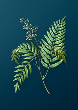 Vintage Flowers on Teal