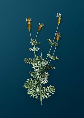 Vintage Flowers on Teal