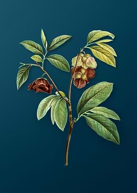 Vintage Flowers on Teal