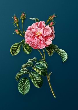 Vintage Flowers on Teal