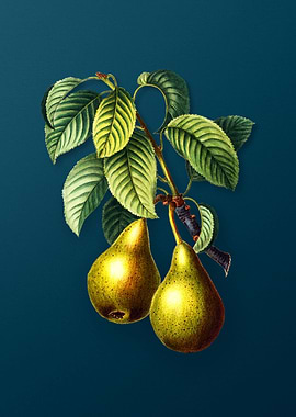 Vintage Flowers on Teal