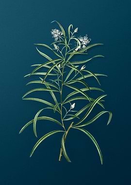 Vintage Botanicals on Teal