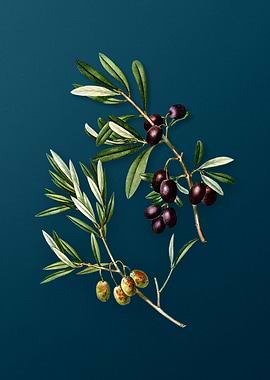 Vintage Flowers on Teal