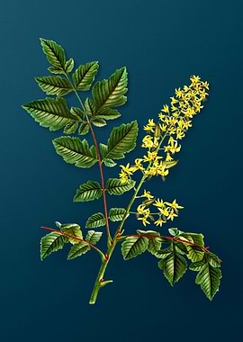 Vintage Flowers on Teal