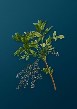 Vintage Flowers on Teal