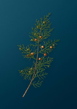 Vintage Flowers on Teal