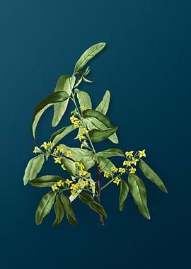 Vintage Flowers on Teal