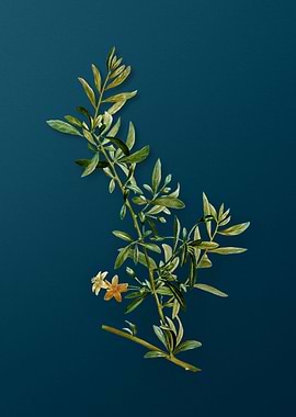 Vintage Flowers on Teal