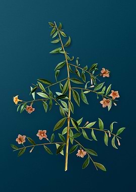 Classic Botanicals on Teal