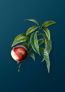 Vintage Flowers on Teal