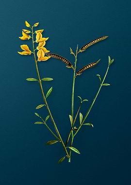 Vintage Flowers on Teal