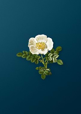 Vintage Florals on Teal