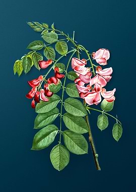 Vintage Botanicals on Teal