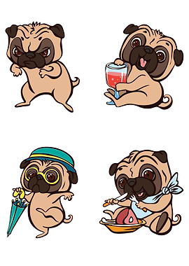 Pug