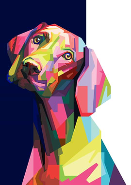 Dog in Wpap