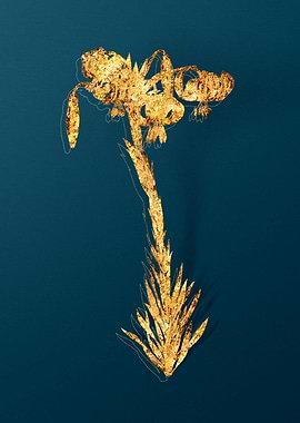 Antique Flower Drawing