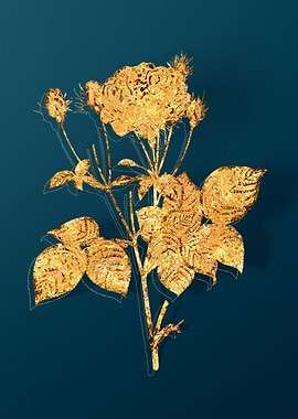 Vintage Flower Drawing