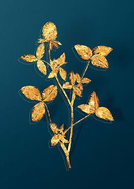 Gold Florals on Teal