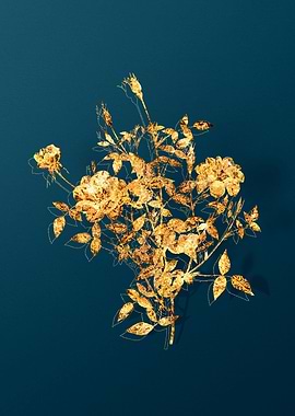 Gold Flowers on Teal