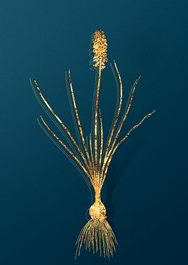 Gold Antique Botanicals