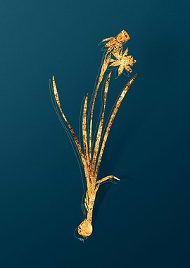 Gold Vintage Illustration