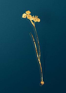 Vintage Flower Drawing