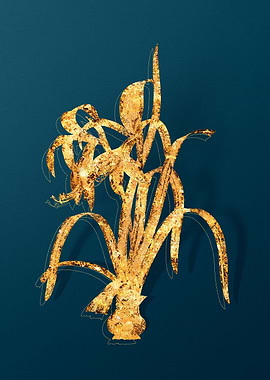 Vintage Plant Illustration