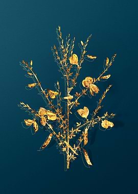 Vintage Botanical Drawing