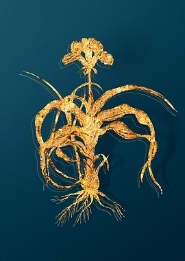 Vintage Botanical Drawing