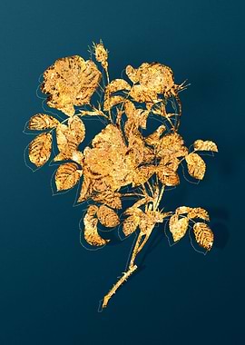 Gold Floral Illustration