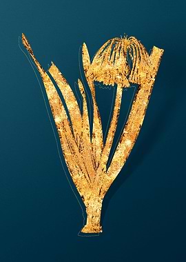 Gold Floral Illustration