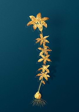 Vintage Botanical Drawing