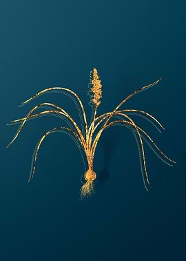 Gold Floral Illustration