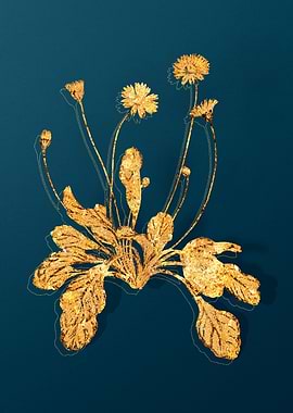 Gold Flowers on Teal