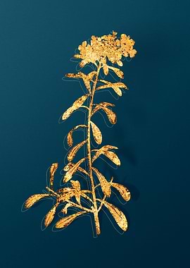 Gold Flower Illustration