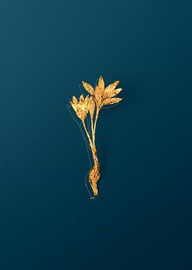 Gold Botanicals on Teal