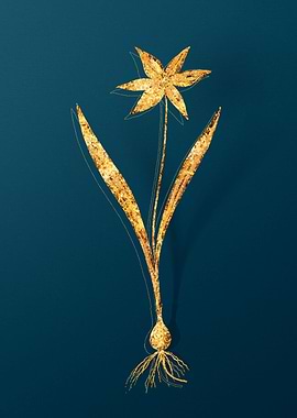 Vintage Botanical Drawing