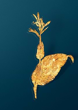 Vintage Botanical Drawing