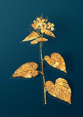 Gold Vintage Illustration