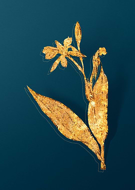 Gold Botanicals on Teal