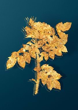 Gold Floral Illustration
