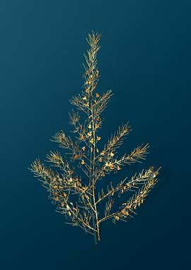 Gold Flower Illustration