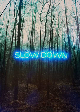 Slown Down