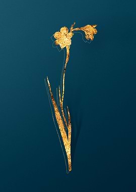 Vintage Floral Drawing